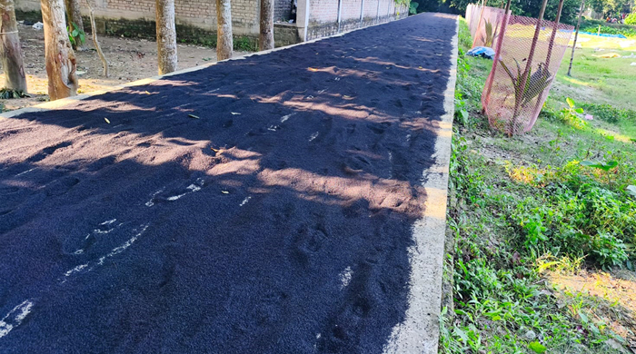 গোয়ালন্দে লাল তিলে রং মিশিয়ে করা হতো কালো॥মোবাইল কোর্টে জরিমানা